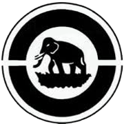 Mcleod Russel India Share Price