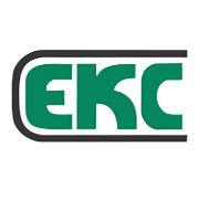 Everest Kanto Cylinder Share Price