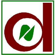 Naga Dhunseri Group Share Price