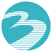 Bannari Amman Spinning Mills Share Price