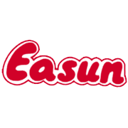 Easun Capital Markets Share Price