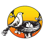 Kolte Patil Developers Share Price