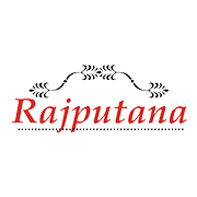 Rajputana Investment & Finance Share Price