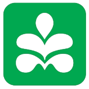 Vivimed Labs Share Price