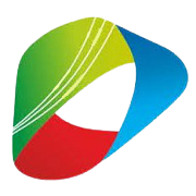 Dynemic Products Share Price