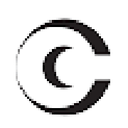 Celebrity Fashions Share Price