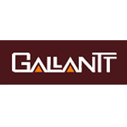 Gallantt Ispat . Share Price