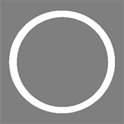 Renaissance Global Share Price