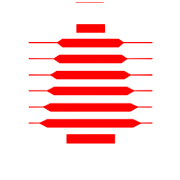 GTN Textiles Share Price