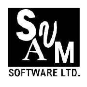 Svam Software Share Price