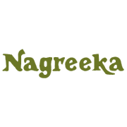 Nagreeka Capital & Infrastructure Share Price
