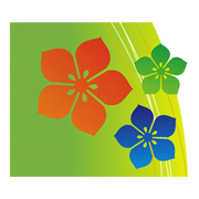 Asahi Songwon Colors Share Price