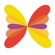 Himadri Speciality Chemical Share Price