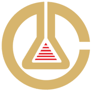 Citichem India Share Price