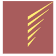 Viceroy Hotels Share Price