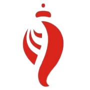 Birla Cotsyn India Share Price