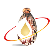 Jayant Agro Organics Share Price