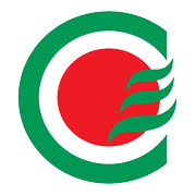 Chambal Fertilisers & Chemicals Share Price