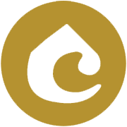 U P Hotels Share Price