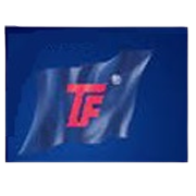 Hindoostan Mills Share Price