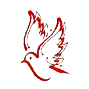 Varvee Global Share Price