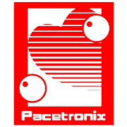 Shree Pacetronix Share Price