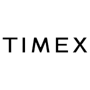 Timex Group India Share Price