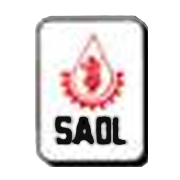 Sanwaria Consumer Share Price