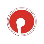 Pioneer Embroideries Share Price