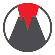 Vesuvius India Share Price