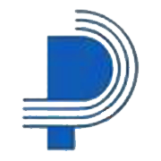 Patspin India Share Price
