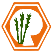 Rana Sugars Share Price