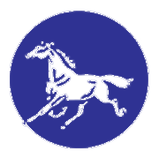 Kothari Industrial Corporation Share Price