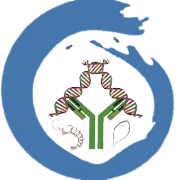 Genesis IBRC India  Share Price