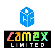 Camex Share Price