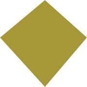 Artemis Medicare Services Share Price