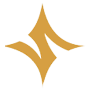 Swarnsarita Jewels India Share Price