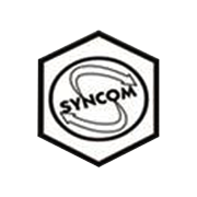 Syncom Formulations (India) Share Price