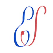 Everlon Financials Share Price