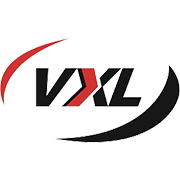 VXL Instruments Share Price