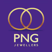 P N Gadgil Jewellers Share Price