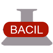Bacil Pharma Share Price