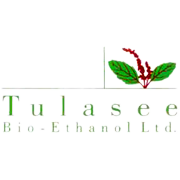 Tulasee Bio-Ethanol Share Price