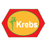 Krebs Biochemicals & Industries Share Price