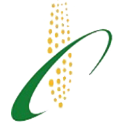 Riddhi Siddhi Gluco Biols Share Price