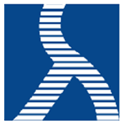 ASM Technologies Share Price