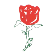 Elegant Floriculture & Agrotech (India) Share Price