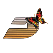 Dhanlaxmi Fabrics Share Price