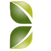 Capital Trust Share Price