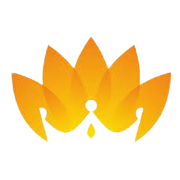 Shahlon Silk Industries Share Price